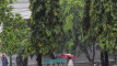 Photo Mini 1