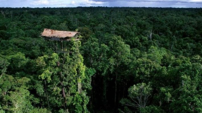 suku korowai papua