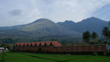 Photo Mini 7