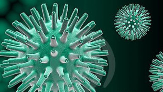 Pasien yang Sudah Sembuh Cacar Api Ternyata Punya Risiko alami Nyeri Post Herpes