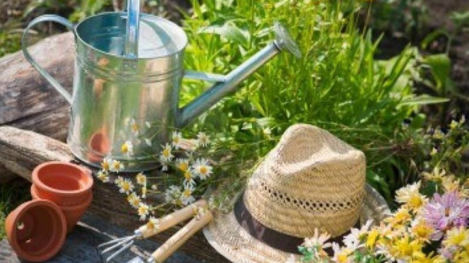 Berkebun termasuk hobi yang menyenangkan. 