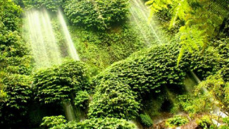 Air Terjun Benang Kelambu
