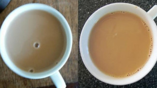 Memprediksi Cuaca dengan Secangkir Kopi
