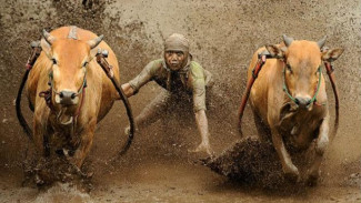 Perayaan Festival Panen di Seluruh Dunia
