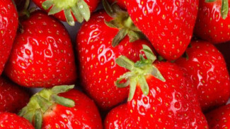 Fantastis, Satu Strawberry di Jepang Dihargai Hampir Rp5 Juta