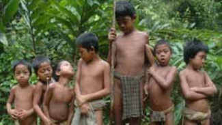 Suku Kubu, Kelompok Primitif Yang Masih Tersisa
