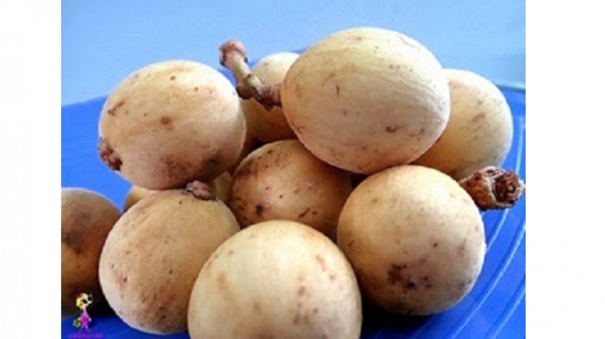 manfaat buah duku.