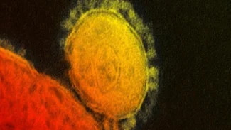 Virus Baru MERS Lebih Mematikan, Diduga Sudah Tulari Ratusan Orang