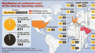 MERS Merebak, Amankah Melakukan Perjalanan ke Timur Tengah?