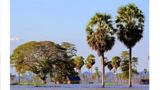 Danau Tempe Sebagai Penangkaran Ikan Tawar yang Indah