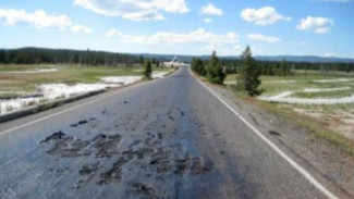 Panas Ekstrem, Jalan Aspal di Yellowstone Meleleh