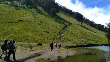 Ilustrasi/Para pendaki di Gunung Semeru