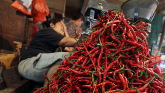 Kemendag Klaim Harga Cabai Turun Secara Nasional