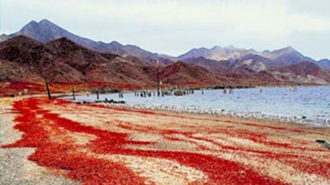 Pulau Christmas.