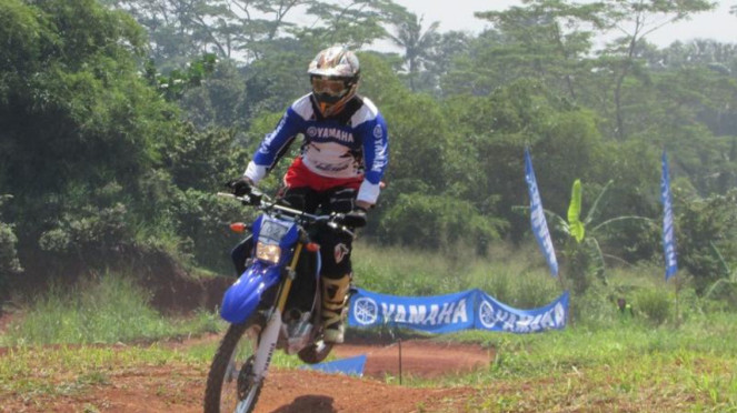 Yamaha WR250R