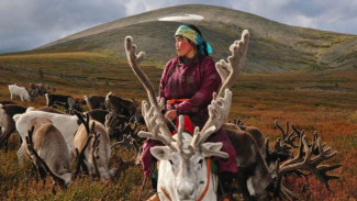 Kampanye Asimiliasi Tiongkok di Mongolia Dalam Kini Meluas ke Ranah Digital