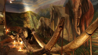 10 Tempat Wisata di Sragen yang Wajib Anda Kunjungi