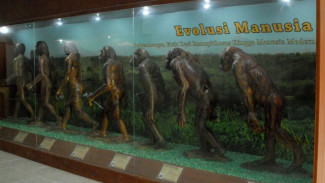 Museum Purbakala Sangiran, Tempat Belajar Manusia Purba