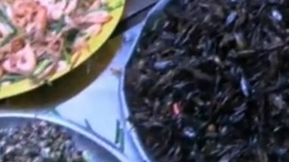 Kissing Bug, 'Ciuman' Serangga yang Bisa Mematikan