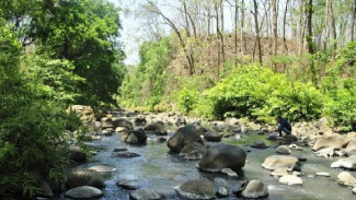 5 Hutan Keramat di Jawa Timur, Nusa Barong Simpan Kisah Menyeramkan