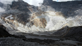 Seberapa Besar Pemerintah Tawar Harga Saham Freeport?