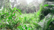Photo Mini 1