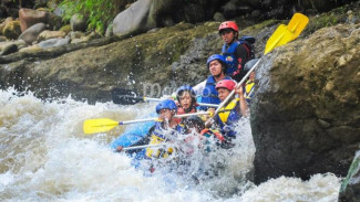 Serunya Wisata Arung Jeram di Sungai Serayu
