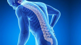 Atasi Osteoporosis dengan Konsumsi Makanan Ini