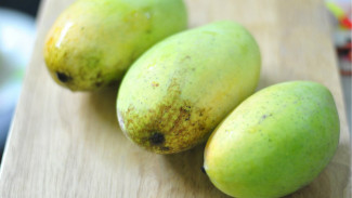 Kabar Baik, Konsumsi Mangga Bisa Turunkan Kolesterol Tinggi
