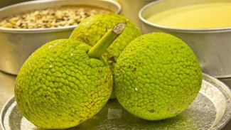 Manfaat Mengejutkan Buah Sukun untuk Kesehatan