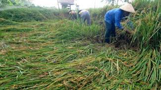 Petani Akan Miliki 'Kartu Sakti' 