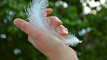 Photo Mini 1