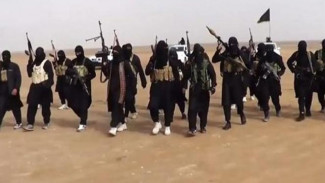 Divonis 3 Tahun Bui, Simpatisan ISIS Ini Merasa Ditipu