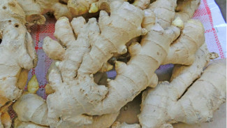 Ketahui Tujuh Makanan Penawar Alergi