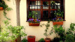 Photo Mini 1