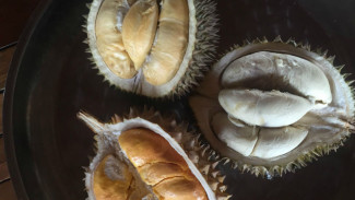 Mengenal Musang King, Durian Lezat dari Negeri Jiran