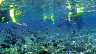 5 Surga Diving Indonesia Destinasi Favorit Turis Asing