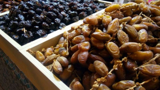 Ini Tips Mudah Membedakan Kurma Nabi dan Kurma Lulu