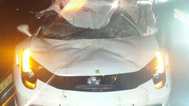 Ferrari tabrak sapi.