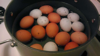 Trik Mengetes Telur yang Sudah Busuk