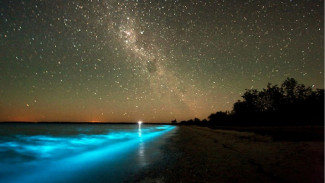 Pulau Vaadhoo, Pulau dengan Fenomena Lautan Bintang