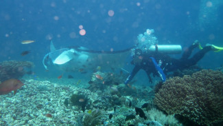 Catat, 3 Destinasi Bahari di Indonesia Ini Lagi Happening