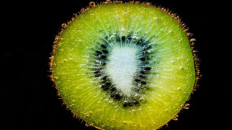 Rahasia Pilih Kiwi Dijamin Manis: Diraba, Dicium, Disendok