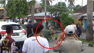 Ngamuk, Sapi Kurban di Padang Dilumpuhkan dengan Peluru
