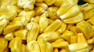 Ibu-ibu, Begini Cara Ampuh Bersihkan Getah Buah Nangka