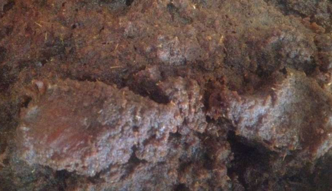 Rendang
