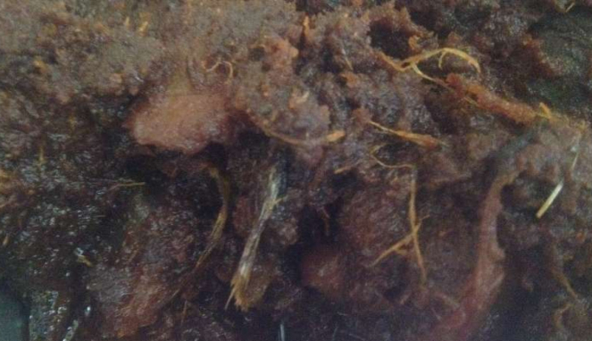 Rendang