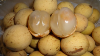 5 Manfaat Buah Duku untuk Kesehatan Tubuh, Jadi Sumber Antioksidan Kuat
