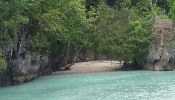Pulau Baer
