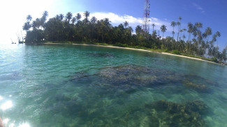 Snorkeling di Pulau Lamun yang Masih Perawan